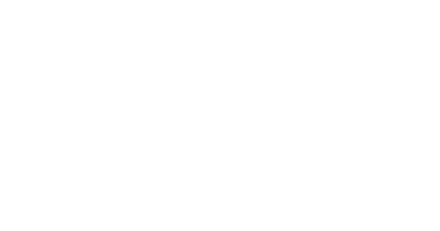 COMPLETED SERVICES LLC